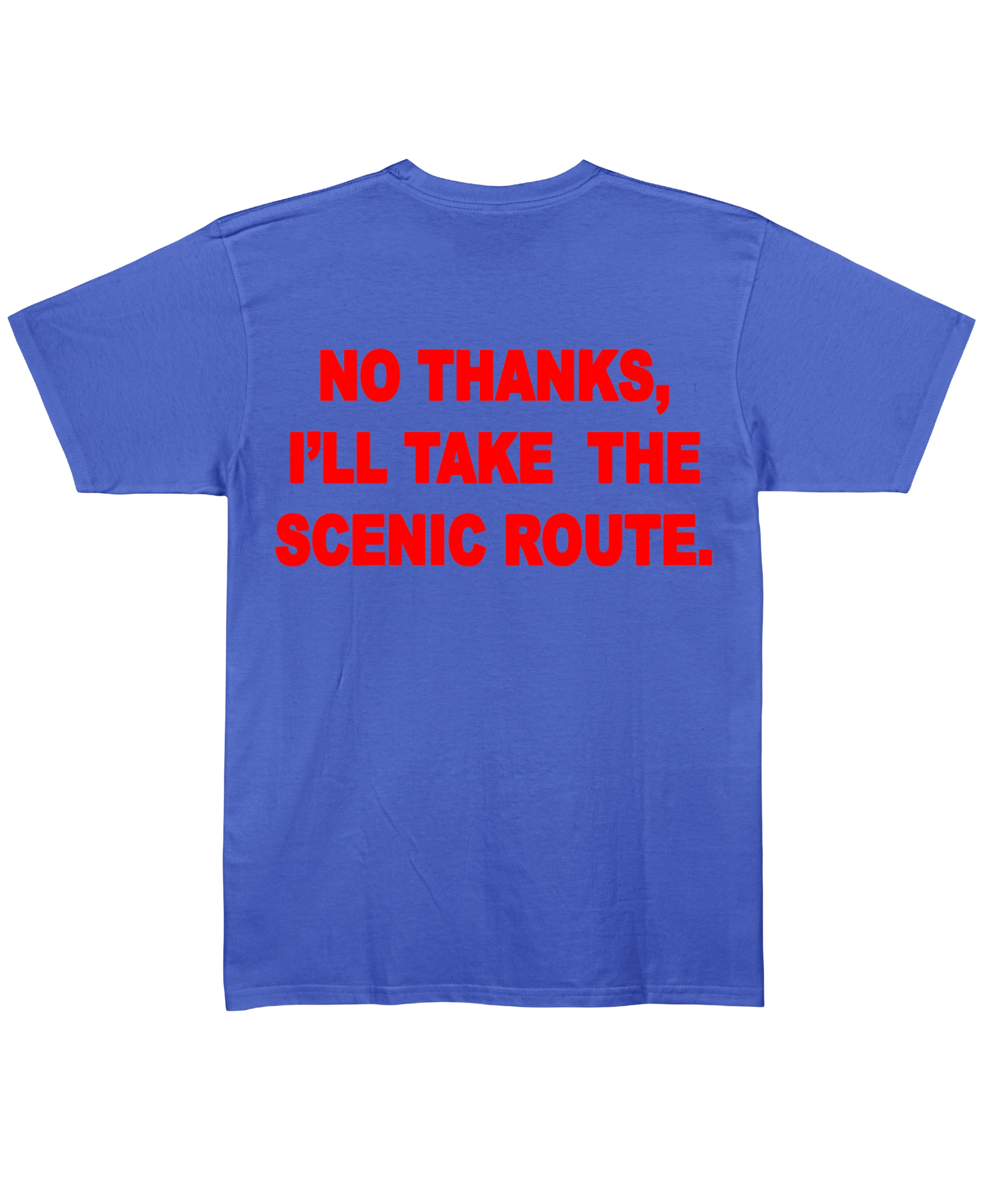 Blue Regular Fit T-shirt Back Design