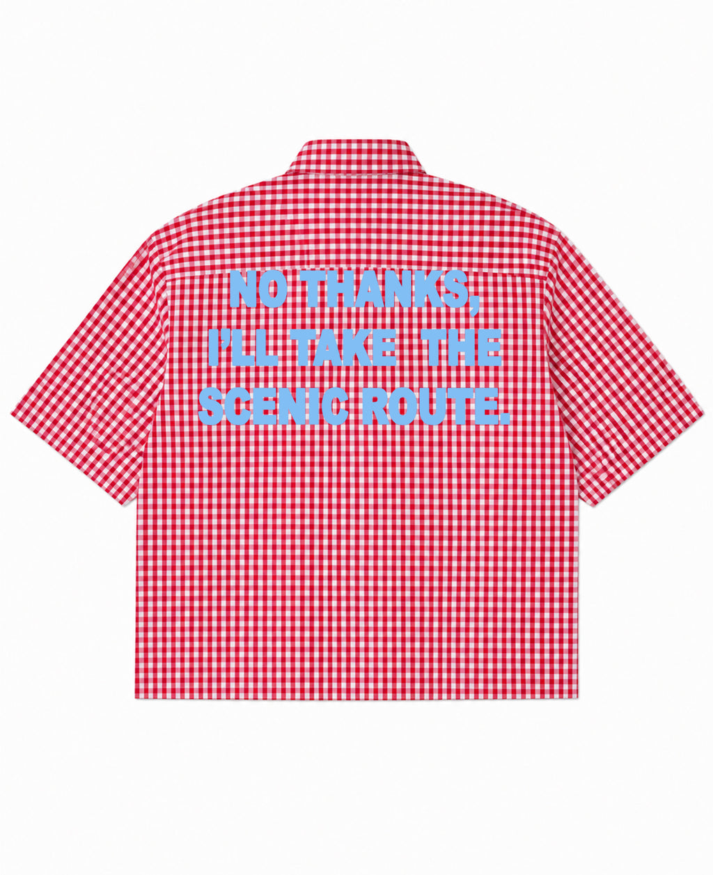 Red Picnic Oxford Boxy Shirt Back Design