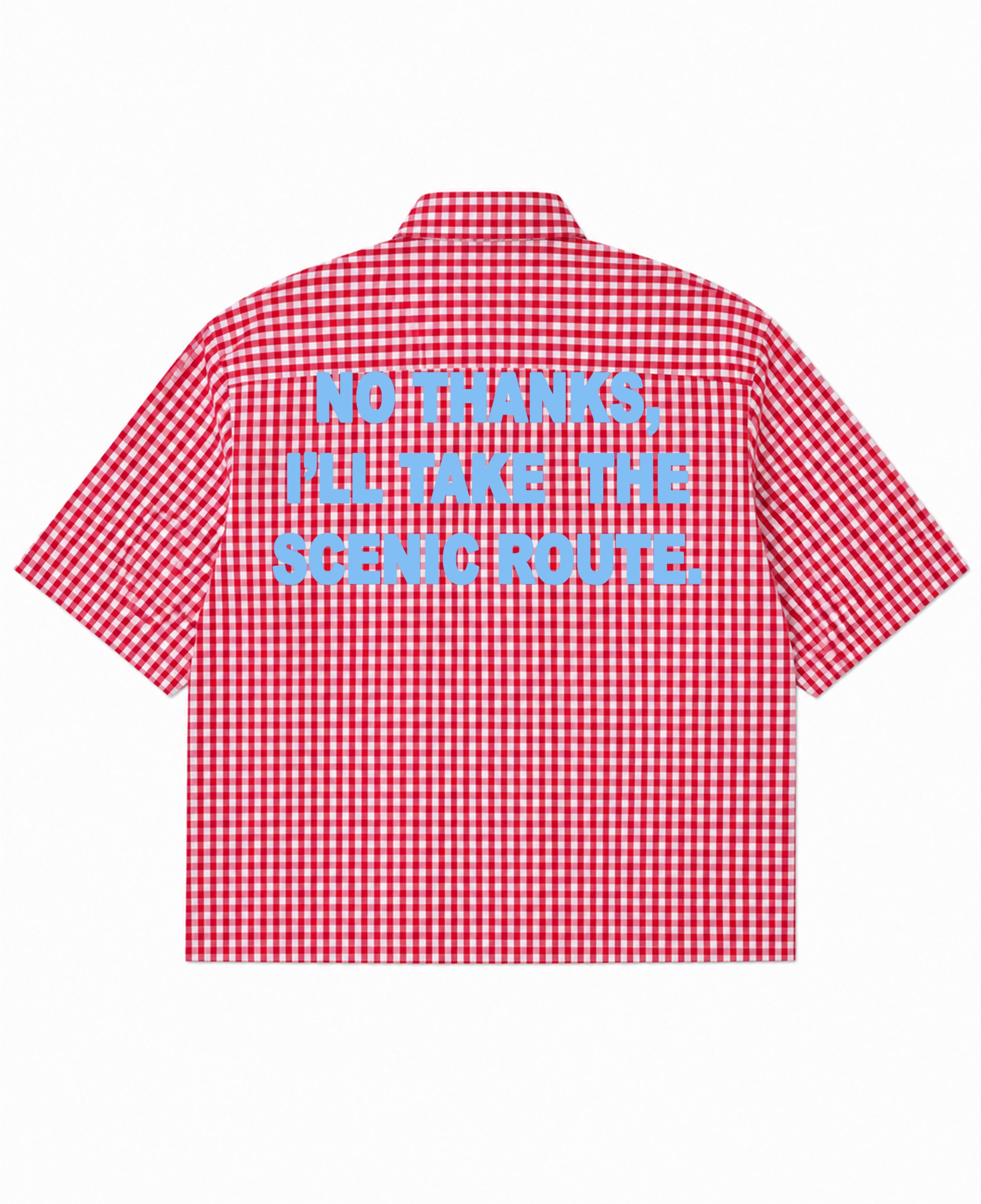 Red Picnic Oxford Boxy Shirt Back Design
