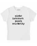 niche internet micro celebrity